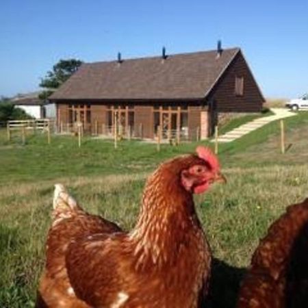 Bike Shed - Beautiful 1-Bed Cottage In Shorwell Eksteriør bilde
