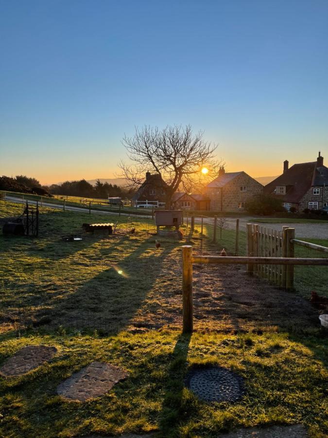 Bike Shed - Beautiful 1-Bed Cottage In Shorwell Eksteriør bilde